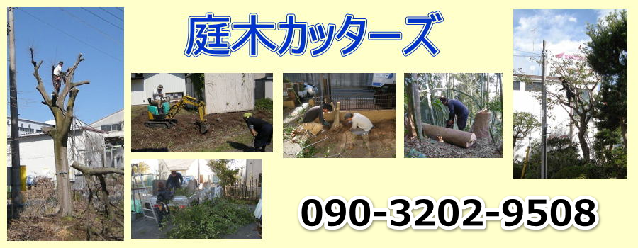 庭木カッターズ | 福岡市東区の庭木の伐採を承ります。